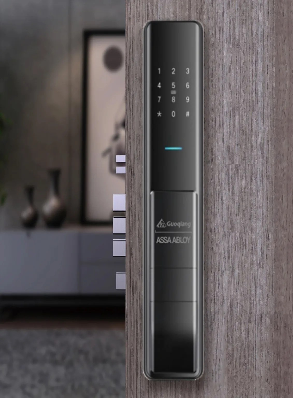 Digital Lock DMS705